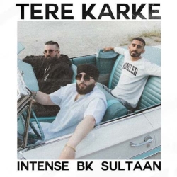 Tere Karke BK, Sultaan Mp3 Song