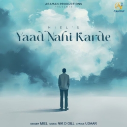 Yaad Nahi Karde Miel Mp3 Song