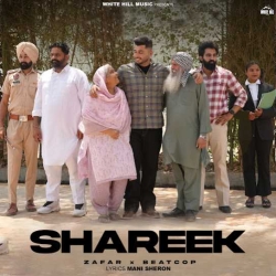 Shareek Zafar Mp3 Song