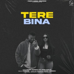 Tere Bina Garry Sandhu Mp3 Song