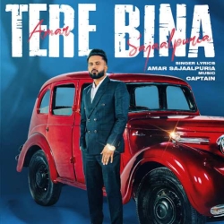 Tere Bina Amar Sajaalpuria Mp3 Song