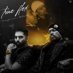 True Flex Parmish Verma Mp3 Song