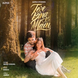 Tere Bina Main Inder Chahal Mp3 Song