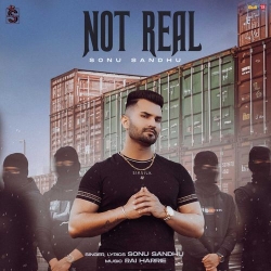 Not Real Sonu Sandhu Mp3 Song