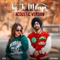 Tu Jo Mileya (Acoustic Version) Mp3 Song