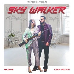 Sky Walker Marvin Mp3 Song