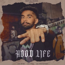 Hood Life Mr Vee Mp3 Song