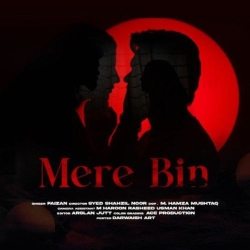 Mere Bin Faizu Ghafari Mp3 Song