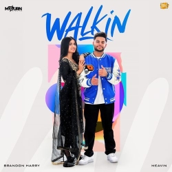 Walkin Brandon Harry Mp3 Song